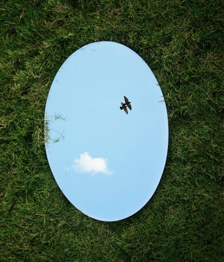 An oval mirror on grass reflecting the sky and a small plant.