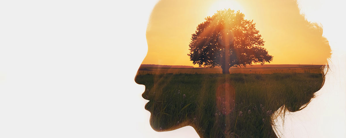 Questions in hypnotherapy